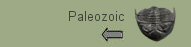 Back to Palaeozoic