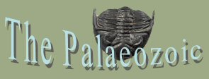 Logo Palaeozoic