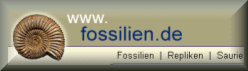 Logo fossilien.de