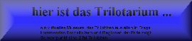 Logo trilotarium.de